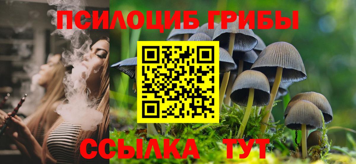 Луховицы  Галлюциногенные грибы MAGIC MUSHROOMS  Вход с VPN  хочу   Псилоцибиновые грибы прущие грибы 